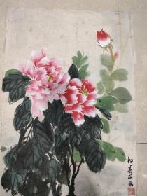 杨嘉丽画， 软片65 x 48，