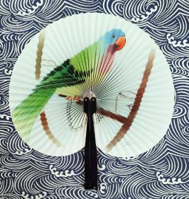 鹦鹉 童年记忆的一把扇 从日本渡海回 印刷 展宽幅约25.5Cm 扇高14Cm 。
