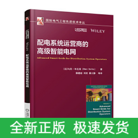 配电系统运营商的高级智能电网