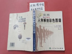 实用人体解剖彩色图谱