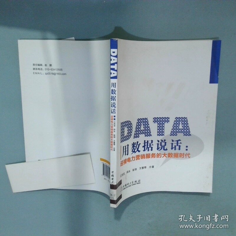 用数据说话 迎接电力营销服务的大数据时代  江克宜著 薛冰著 彭翎著 王慧琴著 中国电力出版社