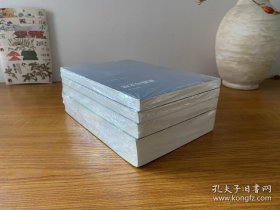 福柯作品精选（套装共4册）古典时代疯狂史+规训与惩罚+知识考古学+疯癫与文明 全新正版未拆封～