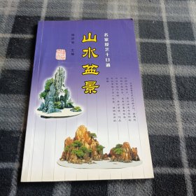 山水盆景——名家授艺十日通