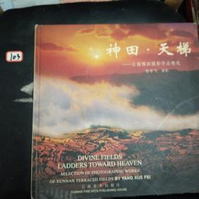 神田·天梯:云南梯田摄影作品精选:ladders toward heaven selection of photographic works of Yunnan terraced fields