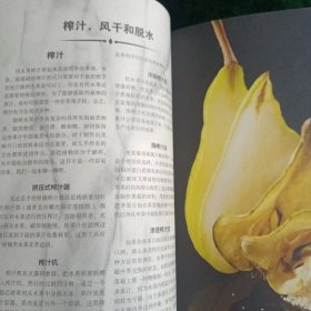 《好奇的调酒师》 全面掌握调制完美鸡尾酒技艺的精髓