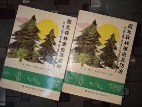 西北森林病虫害及防治