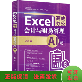 Excel高效办公 会计与财务管理 AI版