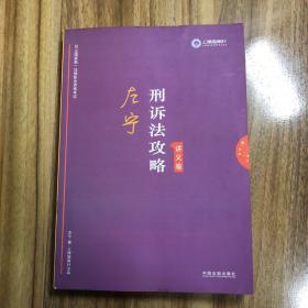 司法考试2019 上律指南针 2019国家统一法律职业资格考试：左宁刑诉法攻略·讲义卷