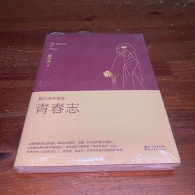 易中天中华史 第四卷：青春志(插图升级版）