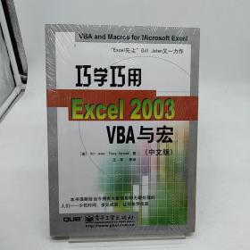 巧学巧用Excel 2003 VBA与宏（中文版）