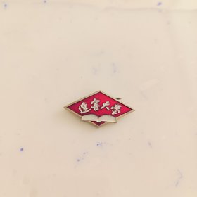 辽宁大学夜校函授纪念校徽徽章