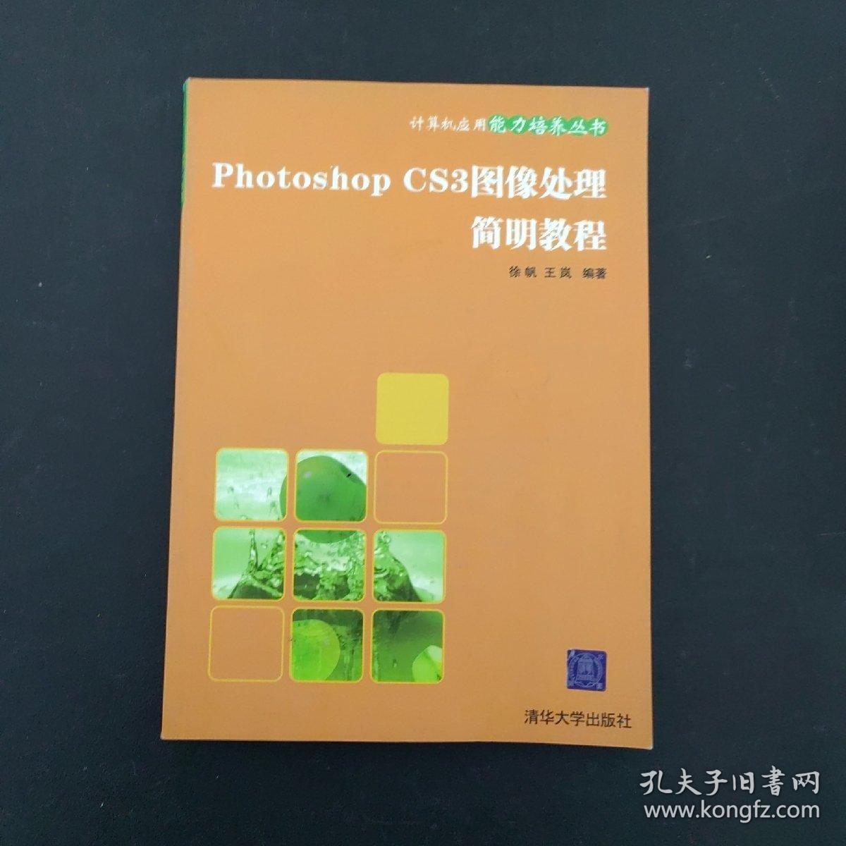 Photoshop CS3图像处理简明教程（计算机应用能力培养丛书）