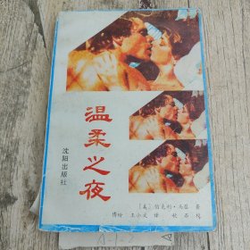 温柔之夜