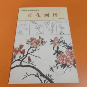 百花画谱：画出最美的东方工笔花卉