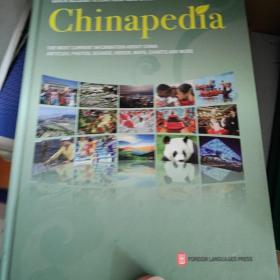 百科中国：用户指南 Chinapedia带光盘