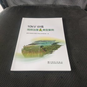 10kV分线线损治理及典型案例