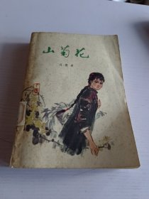 山菊花 下集