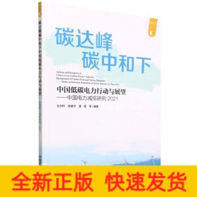 中國(guó)電力減排研究2021:碳達(dá)峰碳中和下中國(guó)低碳電力行動(dòng)與展望