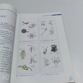 【正版二手】图形创意第三版毕丹第3版9787568057479中南大学出版社