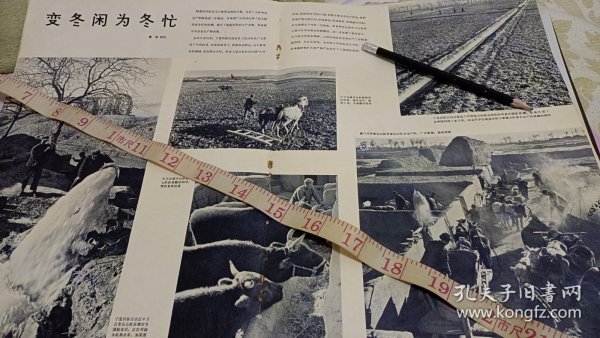 西藏 当雄牧场 乃东县 内蒙古草原 乌兰牧骑 手工业工人 面粉厂 雀儿山 宁夏中卫县 长乐公社银川市罗家庄公社 平罗县 小高陵 刘家沟