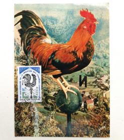 法国农业协会50周年雕刻版公鸡风向标邮票极限片1枚，销1973年12月1日巴黎纪念戳。