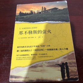 那不勒斯的萤火（被誉为欧美文坛近十年来的“灯塔”巨作，跟《追风筝的人》《阿甘正传》一样震撼灵魂、给人力量。）