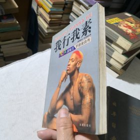 我行我素 NBA篮板王罗德曼自传