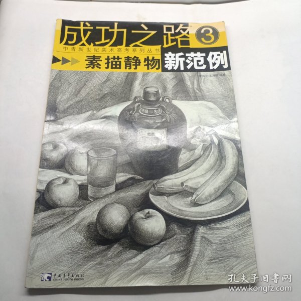 成功之路：素描静物新范例3