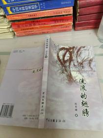 流浪的翅膀