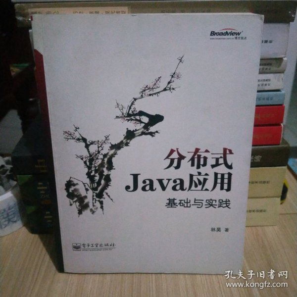 分布式Java应用：基础与实践