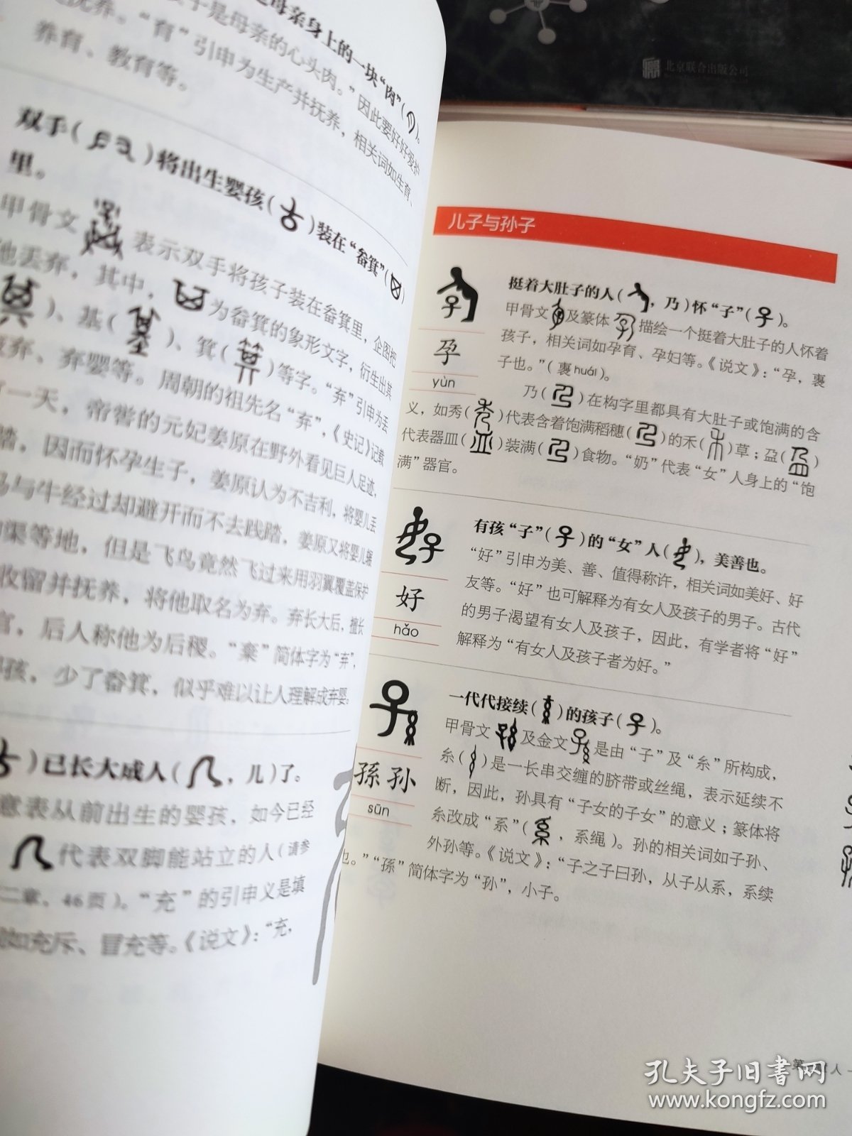 汉字树（1-6）