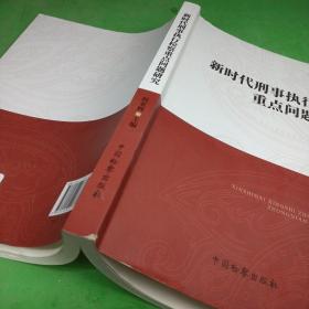 新时代刑事执行检察重点问题研究，，