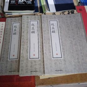 历代名家小楷珍品_赵孟頫（一，二，三）3册合售