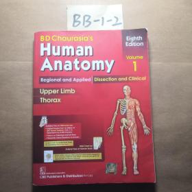 human anatomy 1