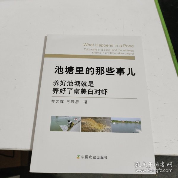 池塘里的那些事儿：养好池塘就是养好了南美白对虾