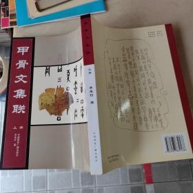 甲骨文集联 上册