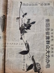 植物标本，无标本台纸.50327-80