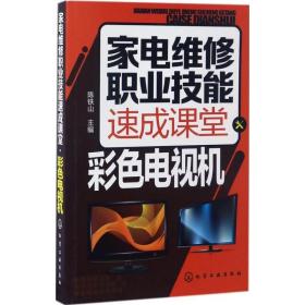 家电维修职业技能速成课堂·彩色电视机