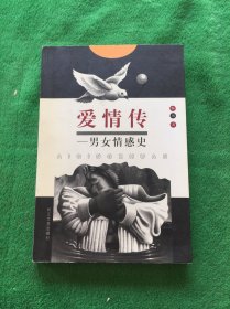 爱情传：男女情感史