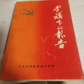 党旗下的报告