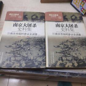 南京大屠杀史料集.35-36：南京市临时参议会调查(上、下册)