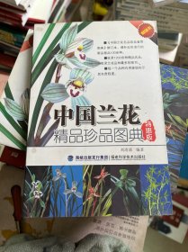 中国兰花精品珍品图典（特惠版）