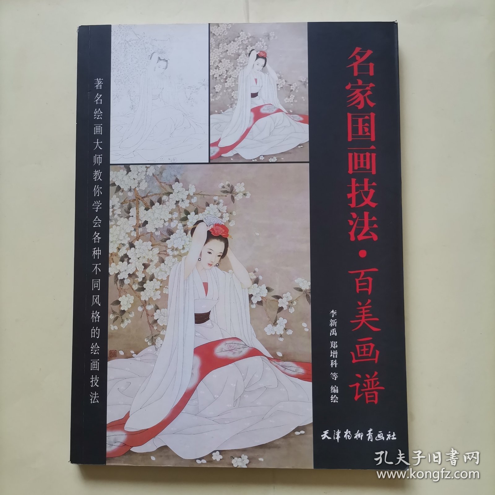 名家国画技法 · 百美画谱