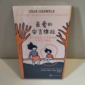 阿迪契作品系列：亲爱的安吉维拉（精装）