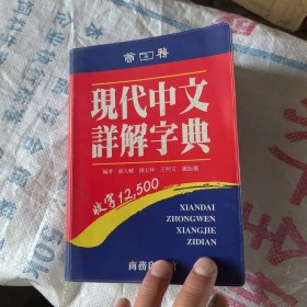 现代中文详解字典