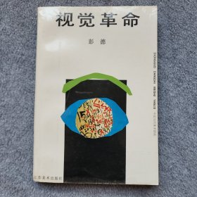 视觉革命
