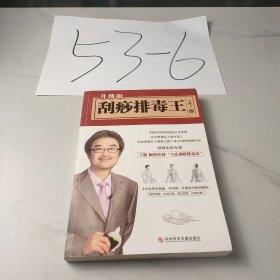 刮痧排毒王：升级版