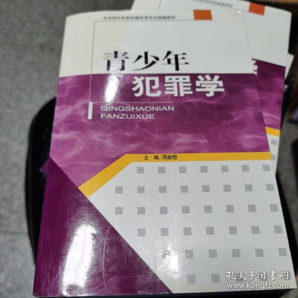 青少年犯罪学