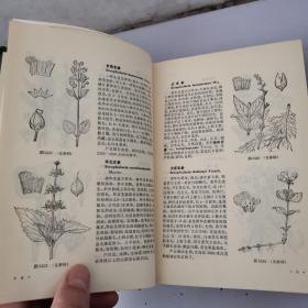 中国高等植物图鉴第三册，第四册【2本合售】