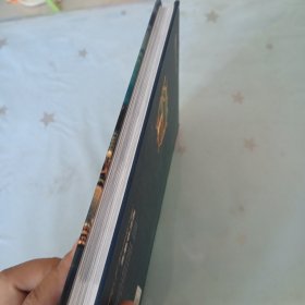 相约多瑙河